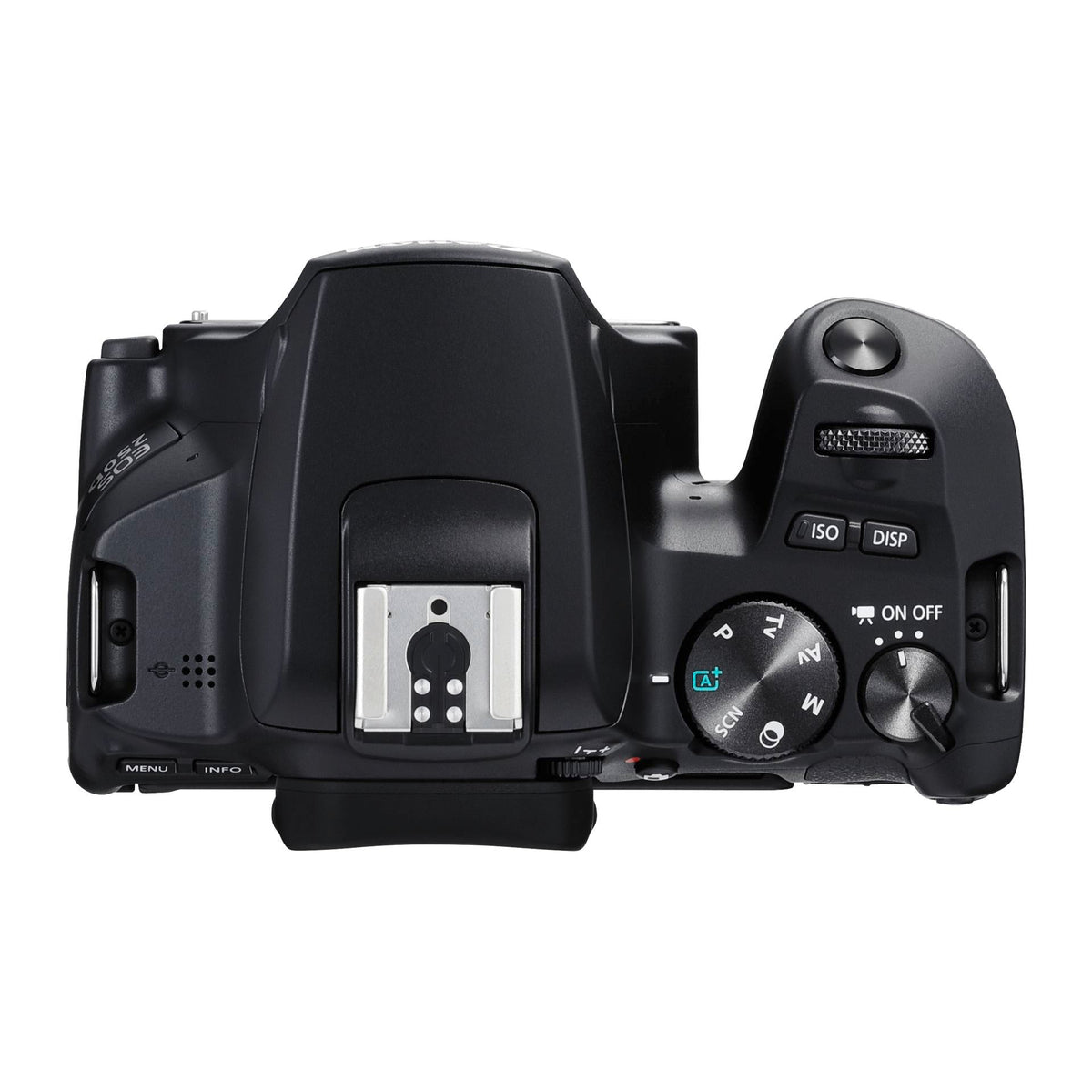 Canon EOS 250D (Black) + EF-S 18-55mm IS STM (Canon 3454C002)